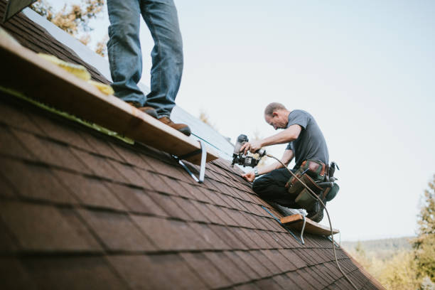 Best Roof Leak Repair  in Caribou, ME